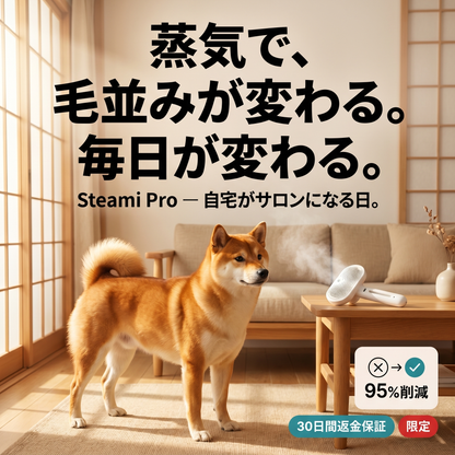Steami Pro Zenzu