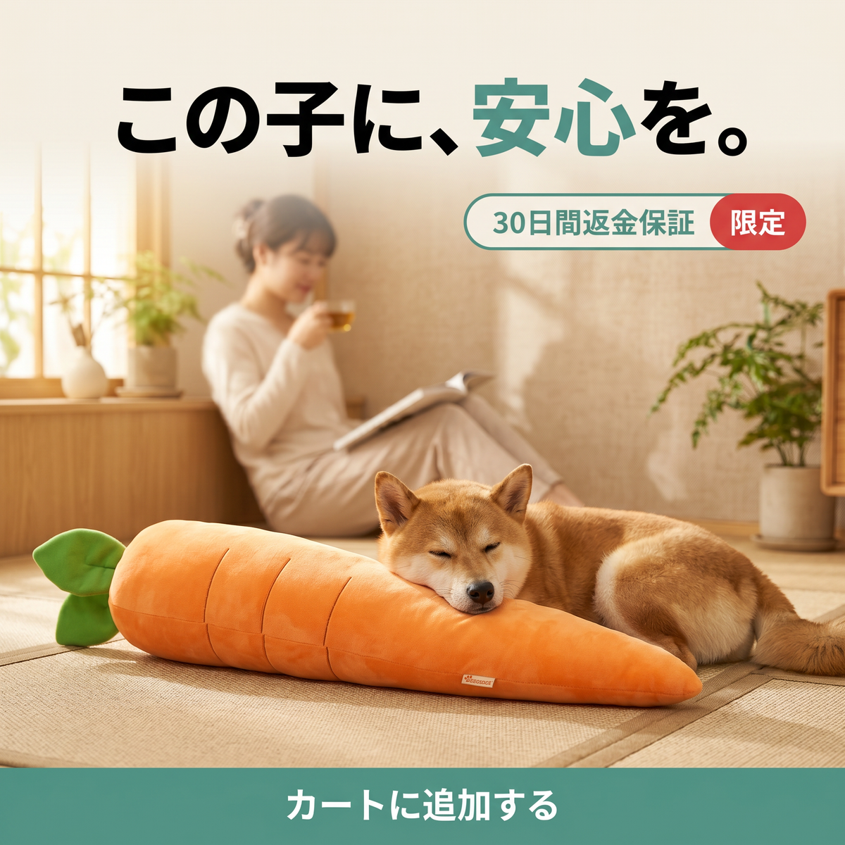 カーミングキャロット