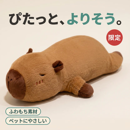 ごろんとカピバラ